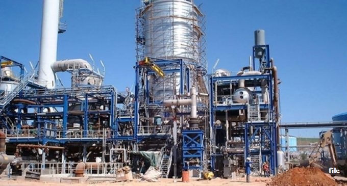 agricare_plant
