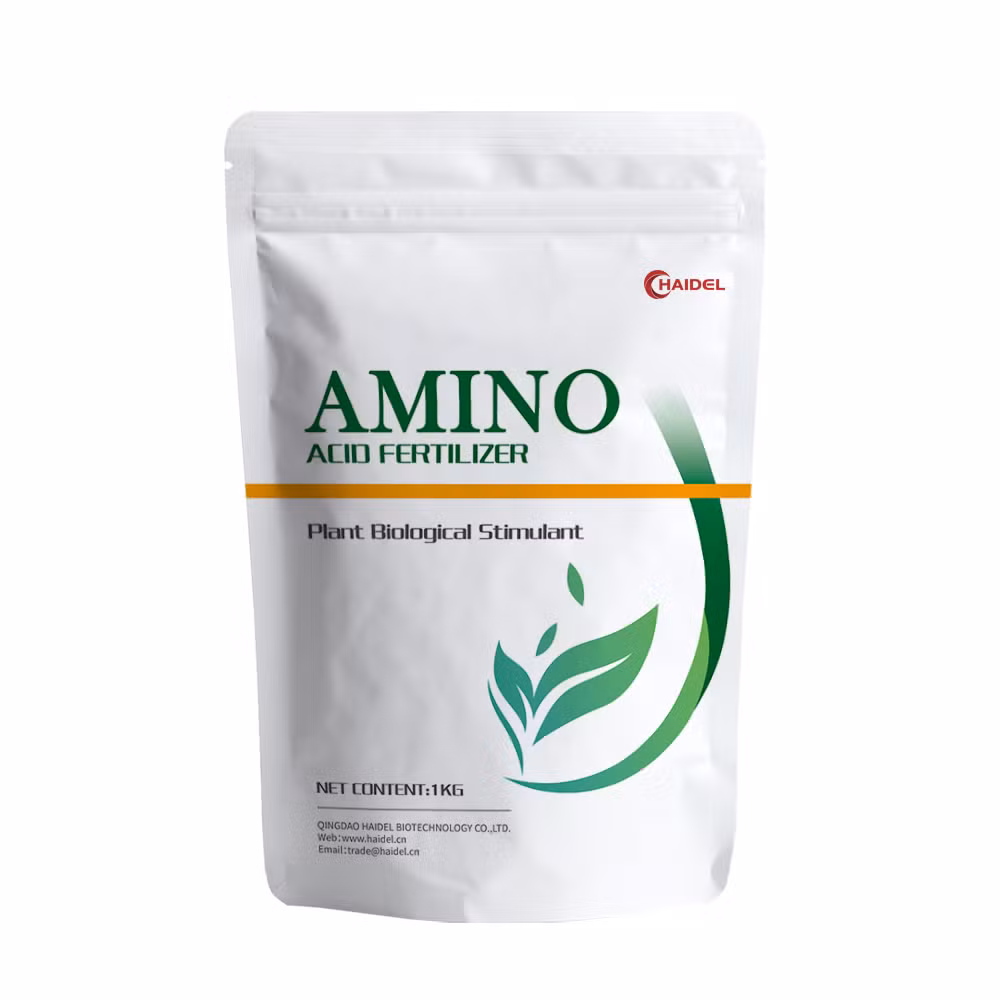 Amino Acid